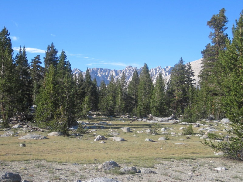 [IMG_45493.jpg]