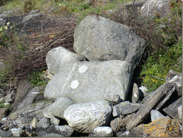 juli 2011 Sola og båtur 159