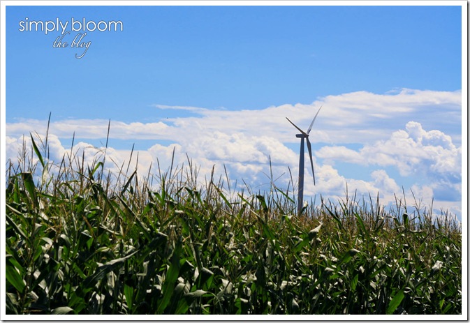 turbine (1 of 1)
