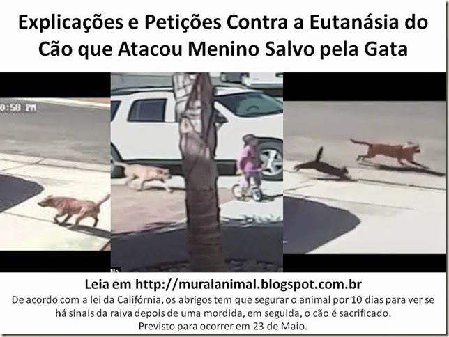 Explicações e Petições Contra a Eutanásia do Cão