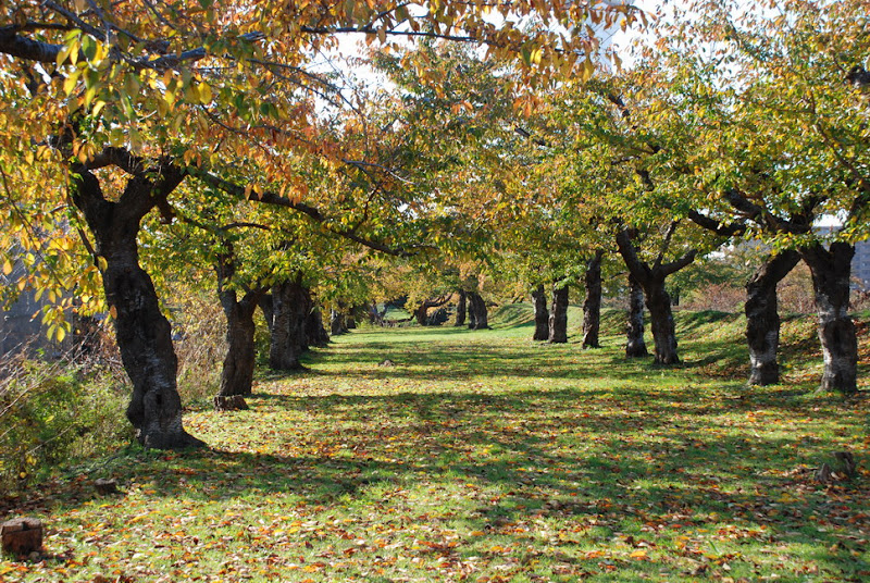 hokkaido_132.jpg