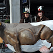 DSC_0399-1.JPG