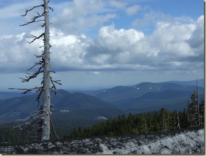 View to  the west of Mt Hood
