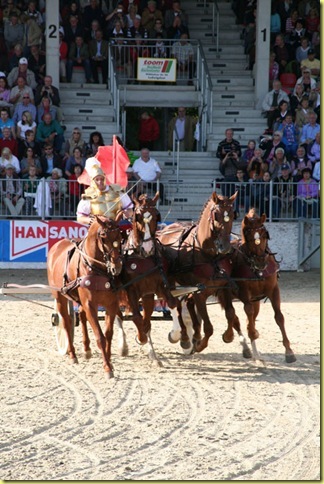 IMG_1849 IMG_1849