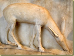 Farnese Bull detail 4