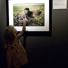 A center for Northwest Coast Art
