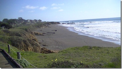PIC_0316 PIC_0316