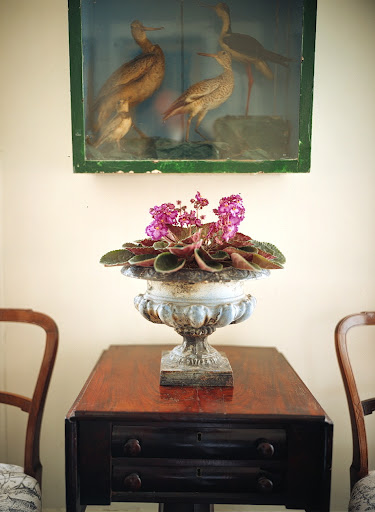 Martha Stewart Living, May 2001.