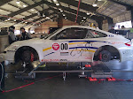 IMG_20110408_073704.jpg