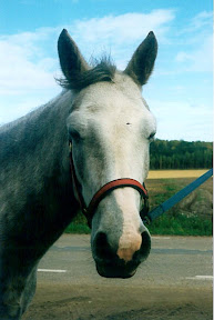 Lady 4 &aring;r
