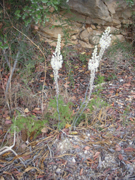 2012_09250047.jpg