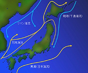 sc05_01 sc05_01
