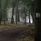 IMG_2894.jpg