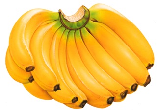 pisang