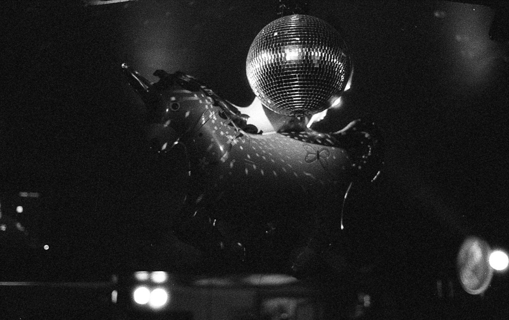 [Rolo-29---185%255B2%255D.jpg]