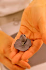 Ana threads the delicate petals onto the stem.