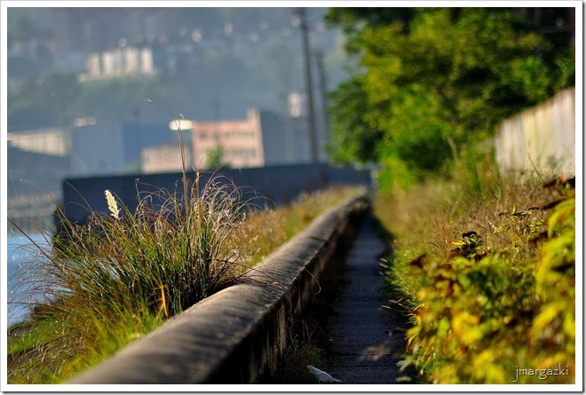 DSC_9954 DSC_9954