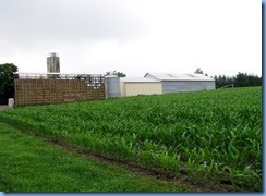 4809 St. Jacobs Farmers' Market - St Jacobs Horse Drawn Tours - Matthew Martin's Old Order Mennonite Farm corn crib