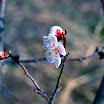 20090404 Pro400H_29-Edit.jpg