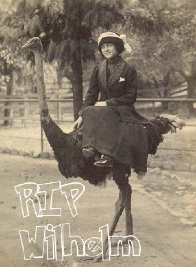 animal,mount,ostrich,ride,steampunk,victorian-b5dafe207d4e58b972617d537380d774_h.jpg Animal mount ostrich ride steampunk victorian b5dafe207d4e58b972617d537380d774 h