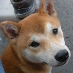 DSCN4923.jpg