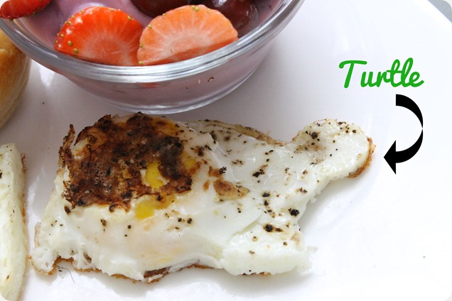 valentine's date turtle egg valentine's date turtle egg