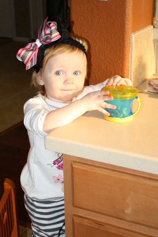[IMG_6980e9.jpg]