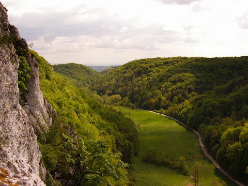 Dolinki%2520Podkrakowskie%25202008-05-10%252014-12-32.JPG