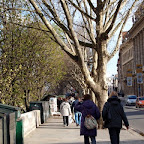 20100404_129.JPG