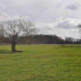 DSC_0006.jpg