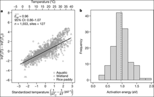 Temperature dependence of CH4 emissions at the ecosystem level. Global warming may have a large impact on the relative contributions of CO2 and CH4 to total greenhouse gas emissions from aquatic ecosystems, terrestrial wetlands, and rice paddies. Graphic: Yvon-Durocher, 2014 / doi:10.1038/nature13164