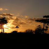 Sizewell 2011 Sizewell 2011