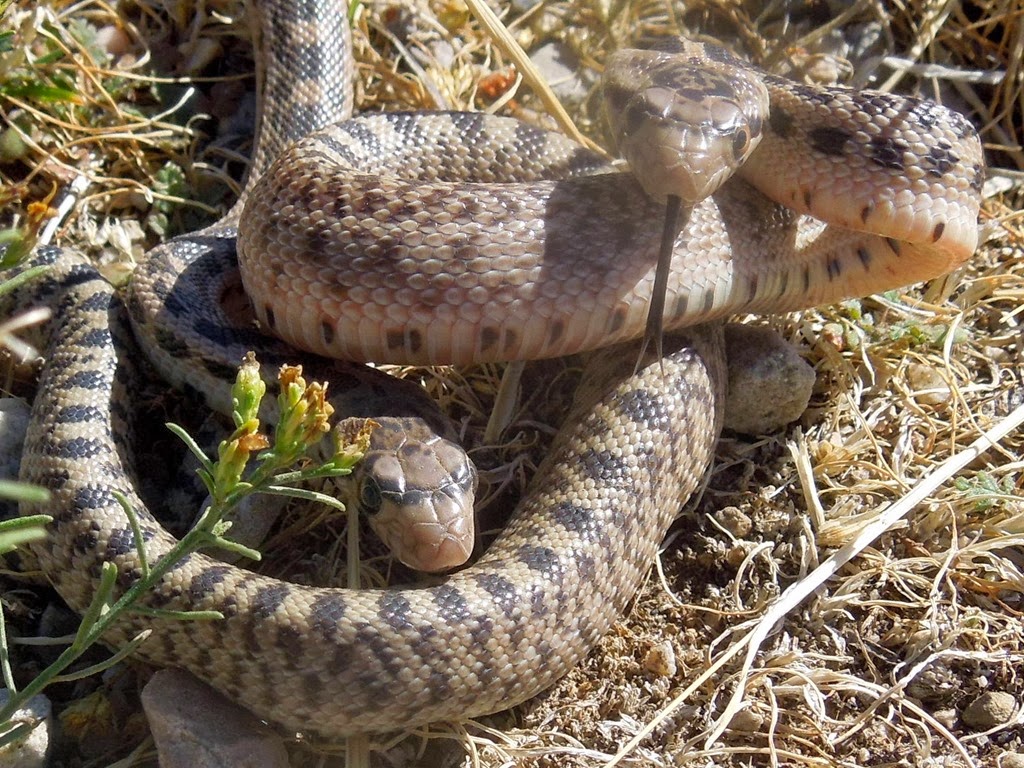 [DSCN8372%255B3%255D.jpg]