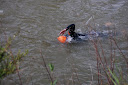 DSC_0170.JPG
