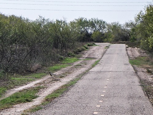 [130131_E%255B4%255D.jpg]