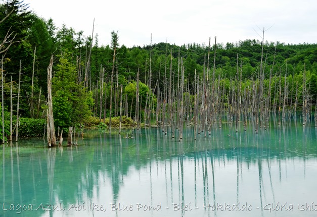 Lagoa Azul - Biei - Hokkaido - Glória Ishizaka - 11