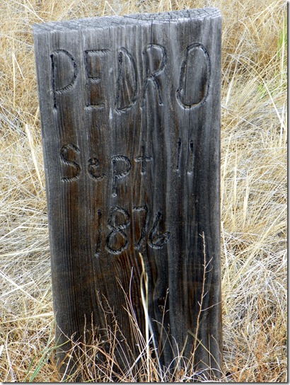 PEDRO - Sept 11, 1876