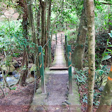 Parque de los Arboles Quadrados -  El Valle - Panamá