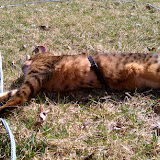 IMAG0187.jpg