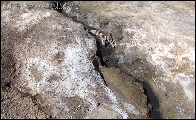 IMG_3003InkPots Runoff
