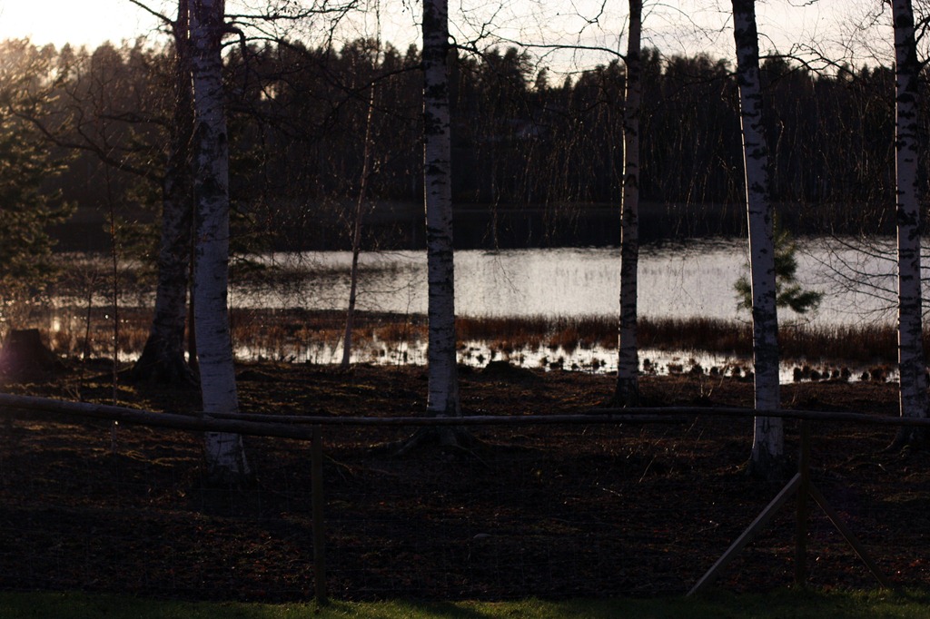 [IMG_3956%255B4%255D.jpg]