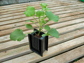 Single Rootrainers