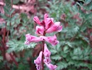 IMG_0786.jpg