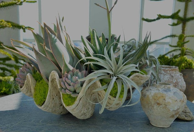 155468_424245184269460_264044300289550_1633509_976357077_n living green ca