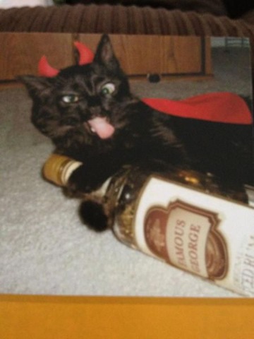 [funny-animals-cute-1%255B2%255D.jpg]