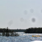 IMG_7974.JPG