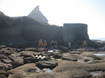 http://lh5.ggpht.com/-FMkddFMSK38/ToxqNUYrE_I/AAAAAAAAB70/kZYPDbm4Huk/WEWimereux%252520054.JPG