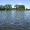 dsc03426.jpg