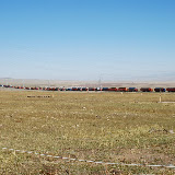 Tianshan - Caravane de camion dans la prairie