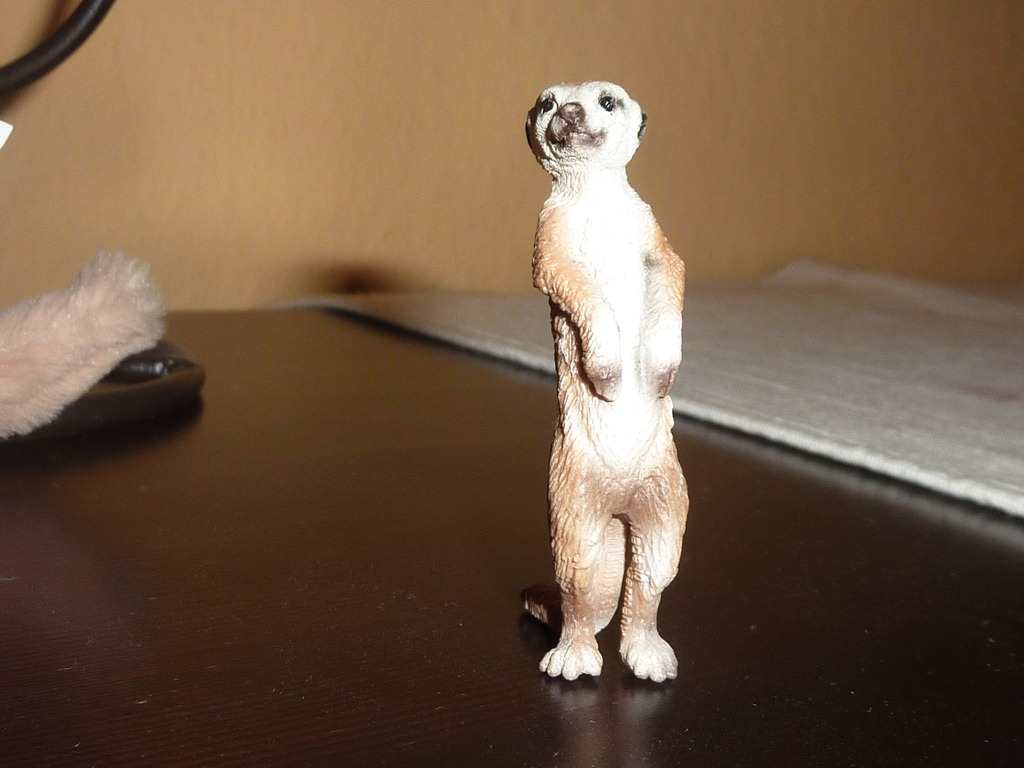 [P1070562%255B3%255D.jpg]